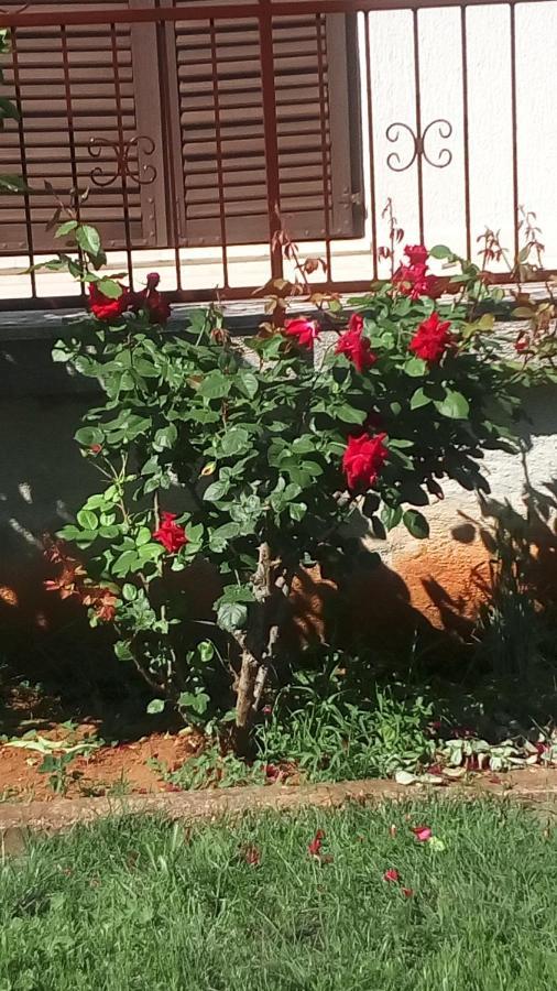 Apartment Vesna For 2, Free Parking And Wi-Fi Pula Exterior photo